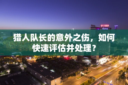 猎人队长的意外之伤，如何快速评估并处理？