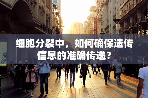 细胞分裂中，如何确保遗传信息的准确传递？