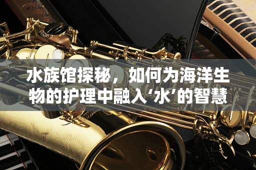 水族馆探秘，如何为海洋生物的护理中融入‘水’的智慧？
