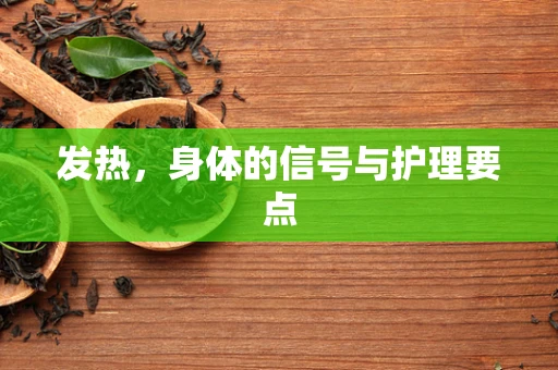 发热，身体的信号与护理要点