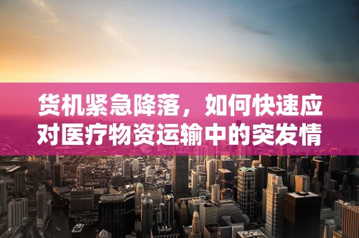 货机紧急降落，如何快速应对医疗物资运输中的突发情况？