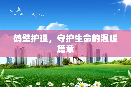 鹤壁护理，守护生命的温暖篇章