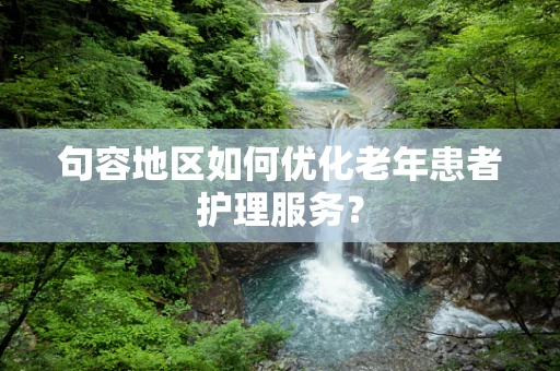 句容地区如何优化老年患者护理服务？