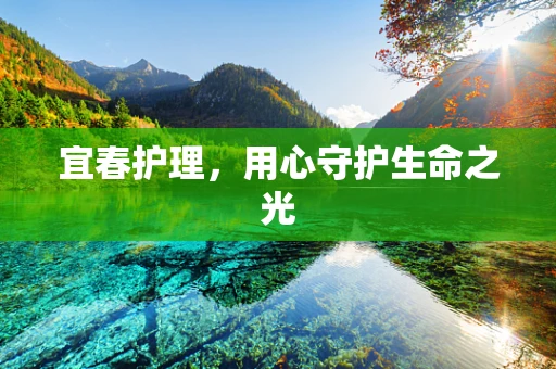 宜春护理，用心守护生命之光