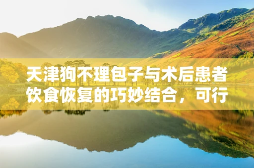 天津狗不理包子与术后患者饮食恢复的巧妙结合，可行吗？