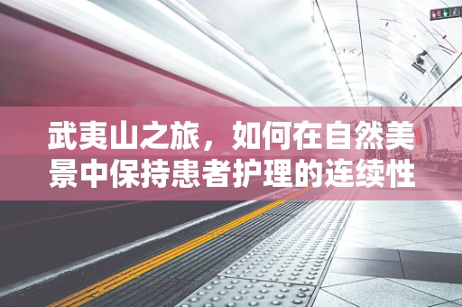 武夷山之旅，如何在自然美景中保持患者护理的连续性？