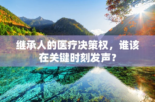 继承人的医疗决策权，谁该在关键时刻发声？