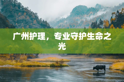 广州护理，专业守护生命之光