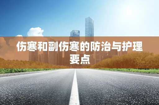 伤寒和副伤寒的防治与护理要点