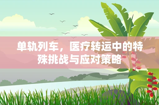 单轨列车，医疗转运中的特殊挑战与应对策略
