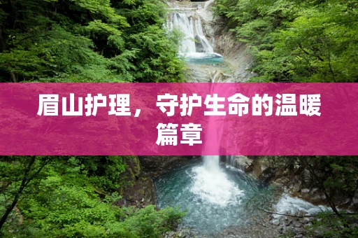 眉山护理，守护生命的温暖篇章