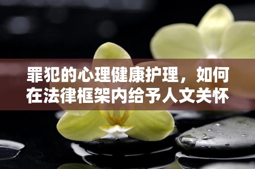 罪犯的心理健康护理，如何在法律框架内给予人文关怀？