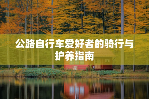 公路自行车爱好者的骑行与护养指南