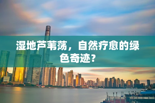 湿地芦苇荡，自然疗愈的绿色奇迹？