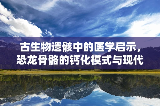 古生物遗骸中的医学启示，恐龙骨骼的钙化模式与现代骨骼健康有何异同？