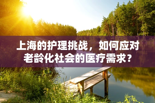 上海的护理挑战，如何应对老龄化社会的医疗需求？