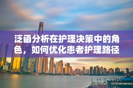 泛函分析在护理决策中的角色，如何优化患者护理路径？