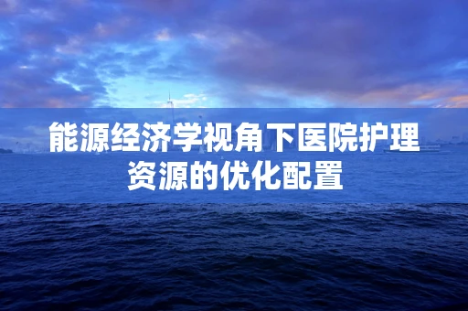 能源经济学视角下医院护理资源的优化配置