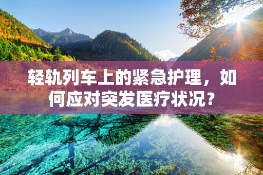 轻轨列车上的紧急护理，如何应对突发医疗状况？