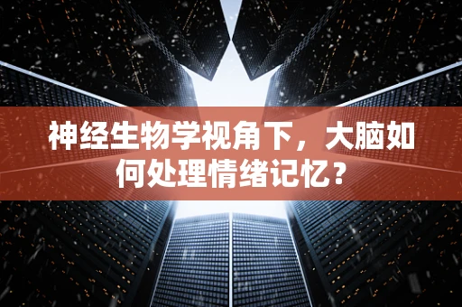 神经生物学视角下，大脑如何处理情绪记忆？