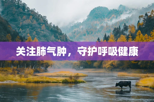 关注肺气肿，守护呼吸健康