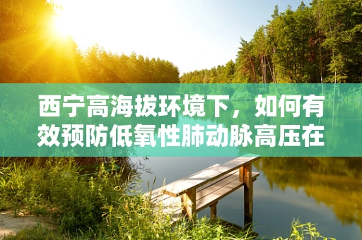 西宁高海拔环境下，如何有效预防低氧性肺动脉高压在护理中的挑战？