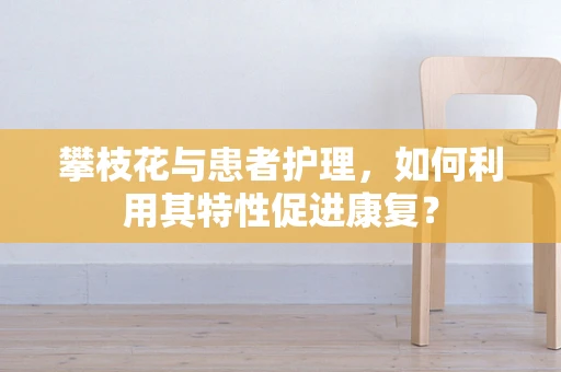 攀枝花与患者护理，如何利用其特性促进康复？