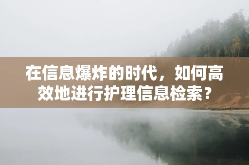 在信息爆炸的时代，如何高效地进行护理信息检索？