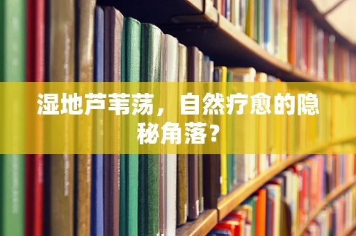 湿地芦苇荡，自然疗愈的隐秘角落？