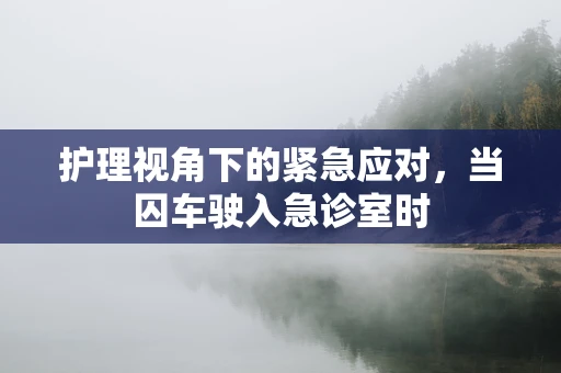 护理视角下的紧急应对，当囚车驶入急诊室时
