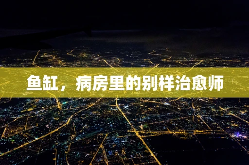 鱼缸，病房里的别样治愈师