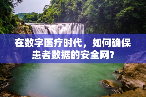 在数字医疗时代，如何确保患者数据的安全网？