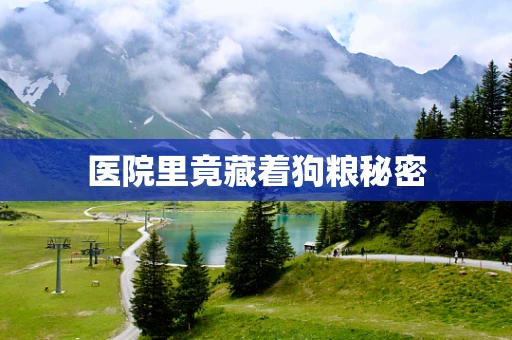 医院里竟藏着狗粮秘密