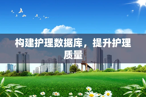 构建护理数据库，提升护理质量