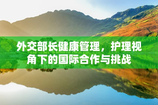 外交部长健康管理，护理视角下的国际合作与挑战