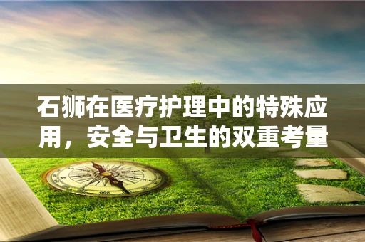 石狮在医疗护理中的特殊应用，安全与卫生的双重考量