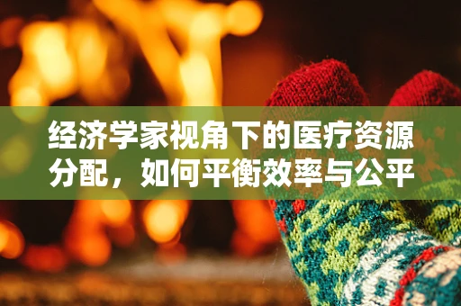 经济学家视角下的医疗资源分配，如何平衡效率与公平？