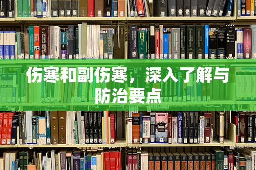 伤寒和副伤寒，深入了解与防治要点