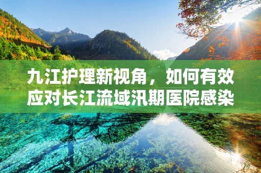 九江护理新视角，如何有效应对长江流域汛期医院感染控制挑战？