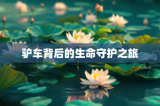 驴车背后的生命守护之旅