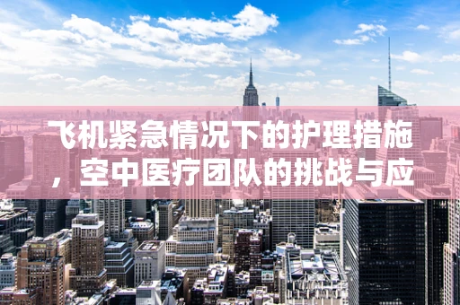飞机紧急情况下的护理措施，空中医疗团队的挑战与应对