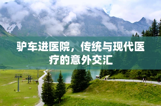 驴车进医院，传统与现代医疗的意外交汇
