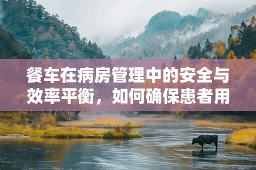 餐车在病房管理中的安全与效率平衡，如何确保患者用餐无忧？