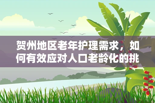 贺州地区老年护理需求，如何有效应对人口老龄化的挑战？