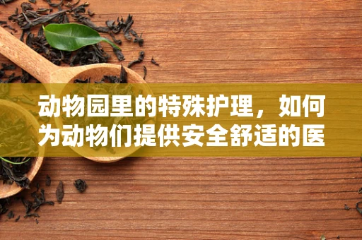 动物园里的特殊护理，如何为动物们提供安全舒适的医疗环境？