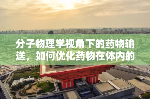 分子物理学视角下的药物输送，如何优化药物在体内的分布？