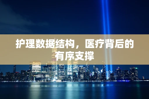 护理数据结构，医疗背后的有序支撑