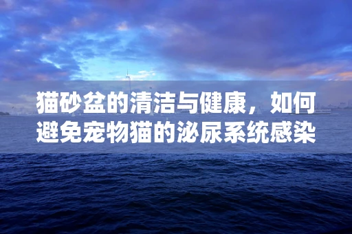 猫砂盆的清洁与健康，如何避免宠物猫的泌尿系统感染？