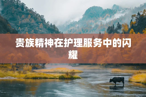 贵族精神在护理服务中的闪耀