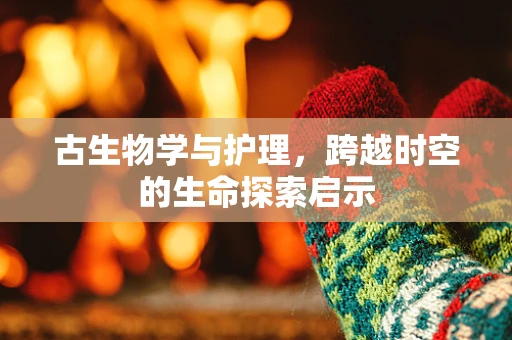 古生物学与护理，跨越时空的生命探索启示